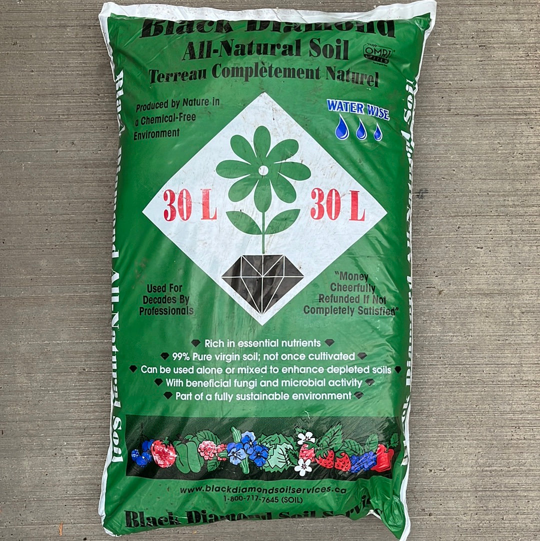 Black Diamond Garden Soil 30L – The Greenery Garden Centre