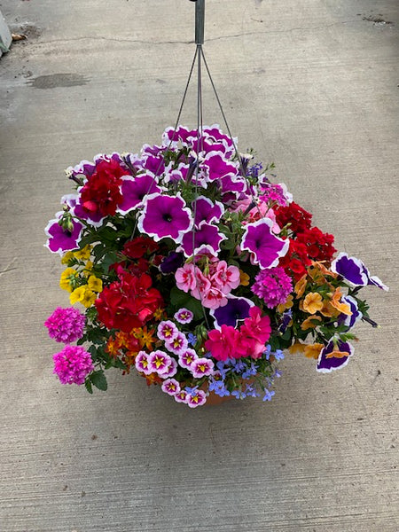 12" Mixed Basket for Sun