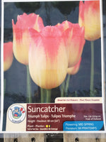 Tulips Suncatcher