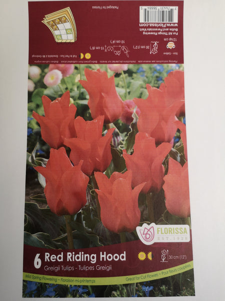 Tulips Red Riding Hood