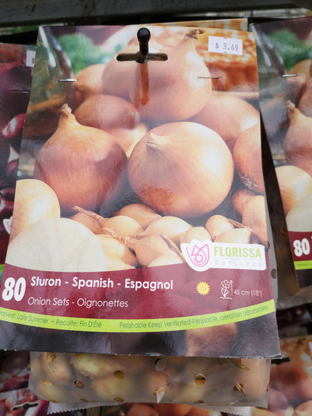 Spanish Onion Set
