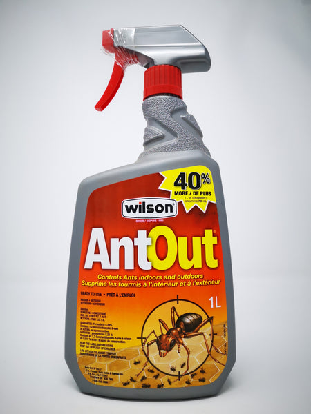 Ant Out