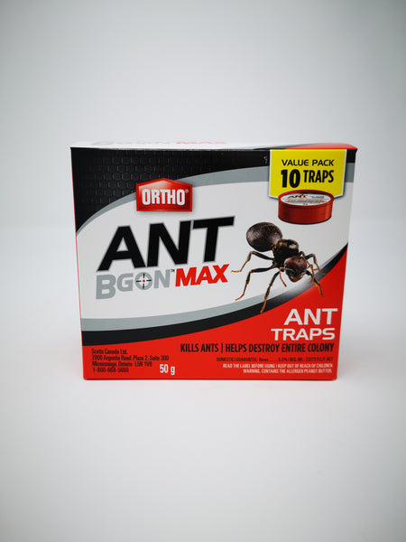 Ant Bgon Max Ant Traps