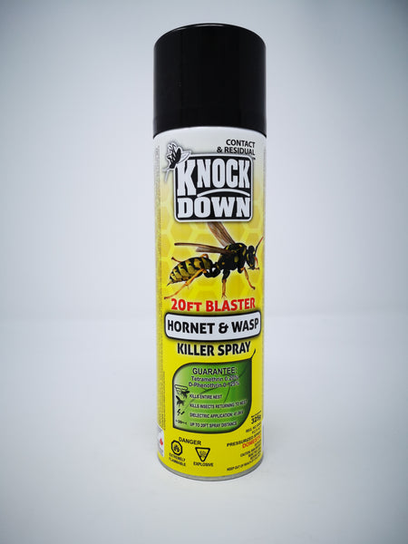 Hornet and Wasp Killer Spray
