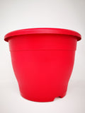 11" (29cm) Red Pot