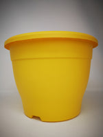 10.2" (26cm) Yellow Pot