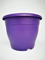 10.2" (26cm) Purple Pot