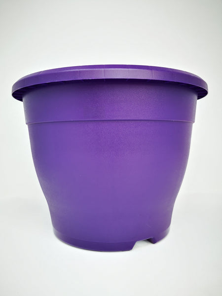 11" (29cm) Purple Pot