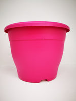 10.2" (26cm) Pink Pot