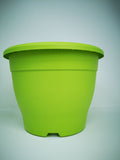 11" (29cm) Green Pot