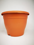 8" (20cm) Brown Pot