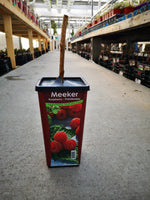 Raspberry Meeker