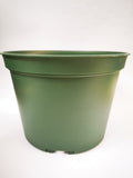 6" Green Round Pot