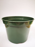 5" Green Round Pot