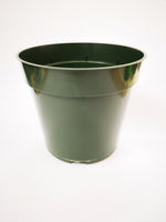 4" Green Round Pot