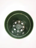 4" Green Round Pot