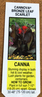 Canna Lily Cannova Bronze Leaf Scarlet